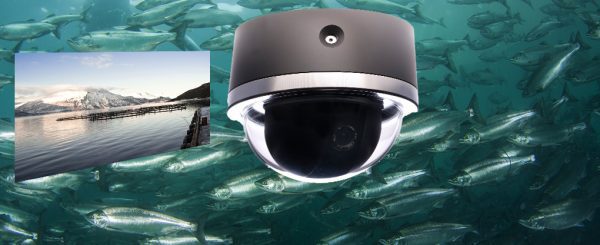 Subsea Video Solutions for Aquaculture and Maritime Industries